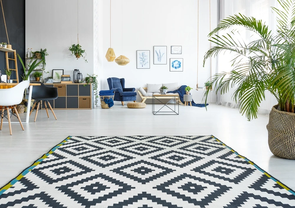 Living room with carpet