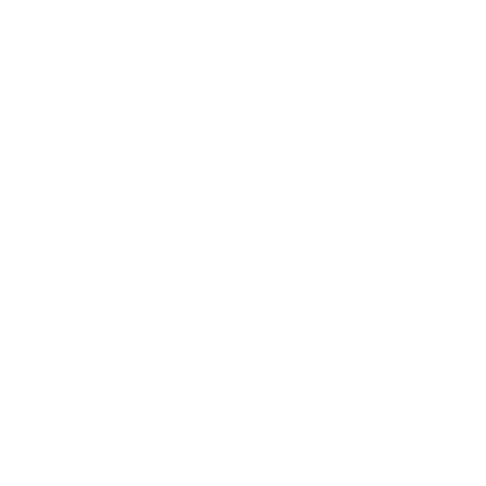 Ownership Mentality Icon