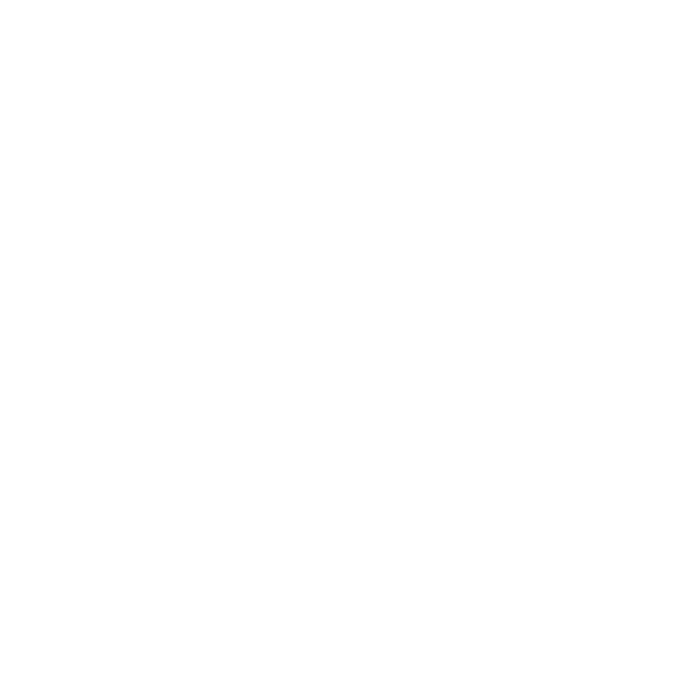 Ownership Mentality Icon