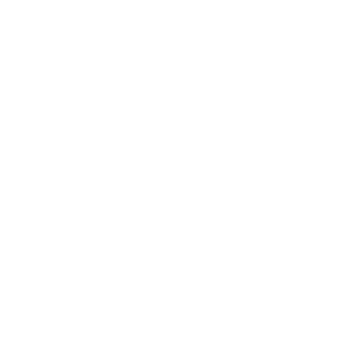 Ownership Mentality Icon