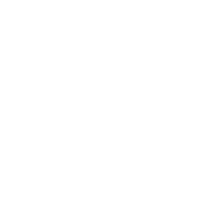 Ownership Mentality Icon
