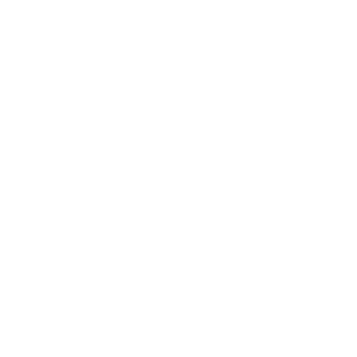 Ownership Mentality Icon