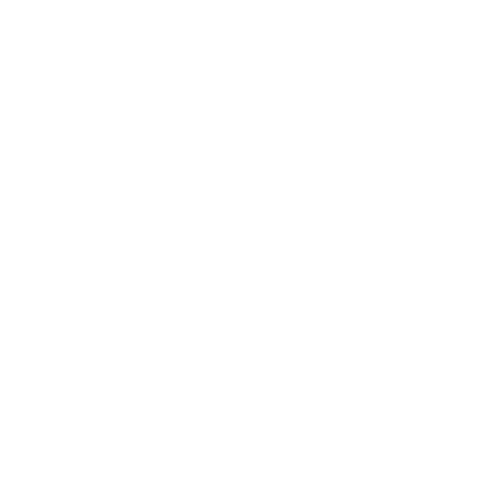Ownership Mentality Icon